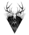 create a tattoo design using fineline and blackwork tattoo style