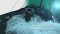 remove green screen, rotoscoping, chroma keying, cleanup, compositing