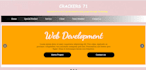 do your web design and web development