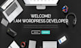do wordpress theme customization or wordpress website customize