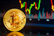 provide a introductory cryptocurrency course