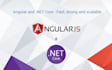 develop asp net,asp net core and angular application