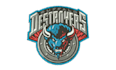 do embroidery digitizing in 2 hours