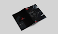 design business flyer, brochure, press kit
