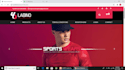 develop responsive website with HTML,CSS, javascript and php