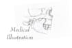 create botanical and medical ink line art
