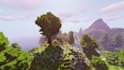 make you a custom minecraft map in world painter