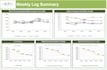 create custom excel spreadsheet with formulas, macros and charts