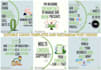create editable canva templates and instagram post designs