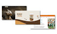 design a high quality, professional website design
