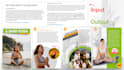 design your ebook, lead magnet and other pdfs