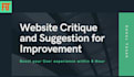 professionally criticize your website to improve the conversion rate