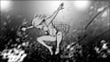 storyboard your film screenplay or script