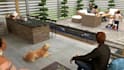 design backyard landscape landscaping