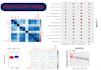 do data analysis and visualization by using r programming packages