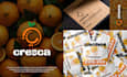 design modern minimalist professional logo design