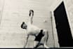 write fitness blog posts and articles