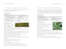 layout the books for createspace, ingram, lulu