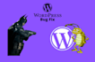 do wordpress issue fix, fix wordpress bugs, errors