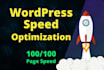 speed up wordpress website, increase page speed in 24 hrs