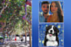 convert your photo to van gogh style custom painting