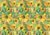 do textile print designs seamless pattern fashion print