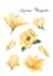 draw flowers illustrations in watercolour style
