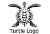 make creative turtle logo design your for brand