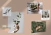 create a beautiful moodboard for you