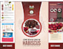 do a proficient PDF lead magnet designs and more
