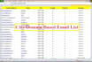 build verified niche targeted email list or domain based email list