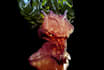 do 3d modeling of creatures for video games