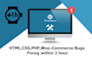 fix wordpress bugs, issues, errors or CSS issue