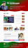 build, design or redesign professional wordpress ai website or blog or chatbot