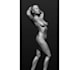 do a 3d model based on an image picture