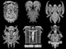 draw detailed dark horror brutal metal art illustration for tshirt