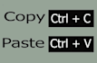 be your virtual assistant for data entry and copy paste jobs