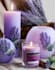 clear tarot reading to enhance your life