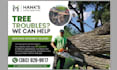 design a professional flyer