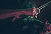 teach online violin lessons for all levels