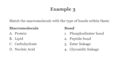 write your science quiz and exam questions