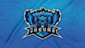 design your twitch, gaming, esports, sports mascot logo