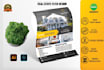 design awesome real estate flyer