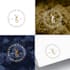 create a unique signature logo within hours
