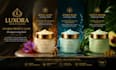 design premium product packaging and labels