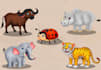 create cute cartoon animal and bird illustrations