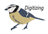 embroidery digitizing, 3d puff, flat, convert to dst, pes, jef, vp3, dsb in 1hr