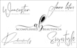 design handwritten signature script logo