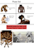 draw you as a titan of ymir from attack on titan