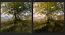 edit and retouch your landscape photographs